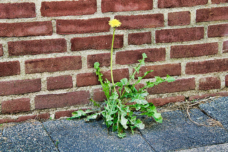 Het treurige verval van Kerverland voorafgaand aan de sloop_31